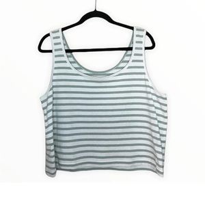 NWOT Madewell seafoam green and white tank size small